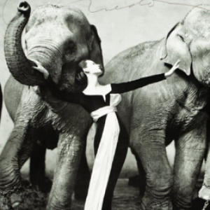 Picture of Kendra Ralston